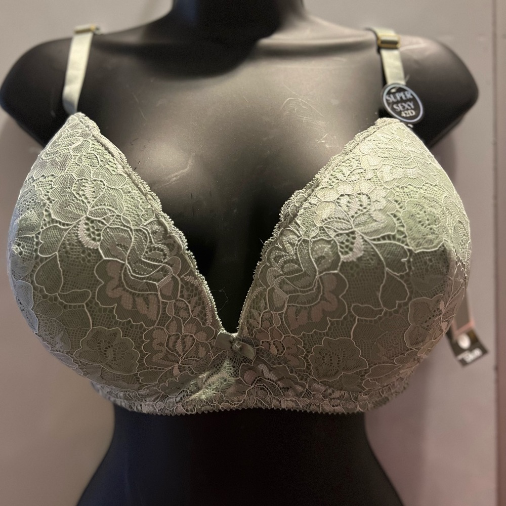 NWT Body Frosting Underwire Bra 42D/3X